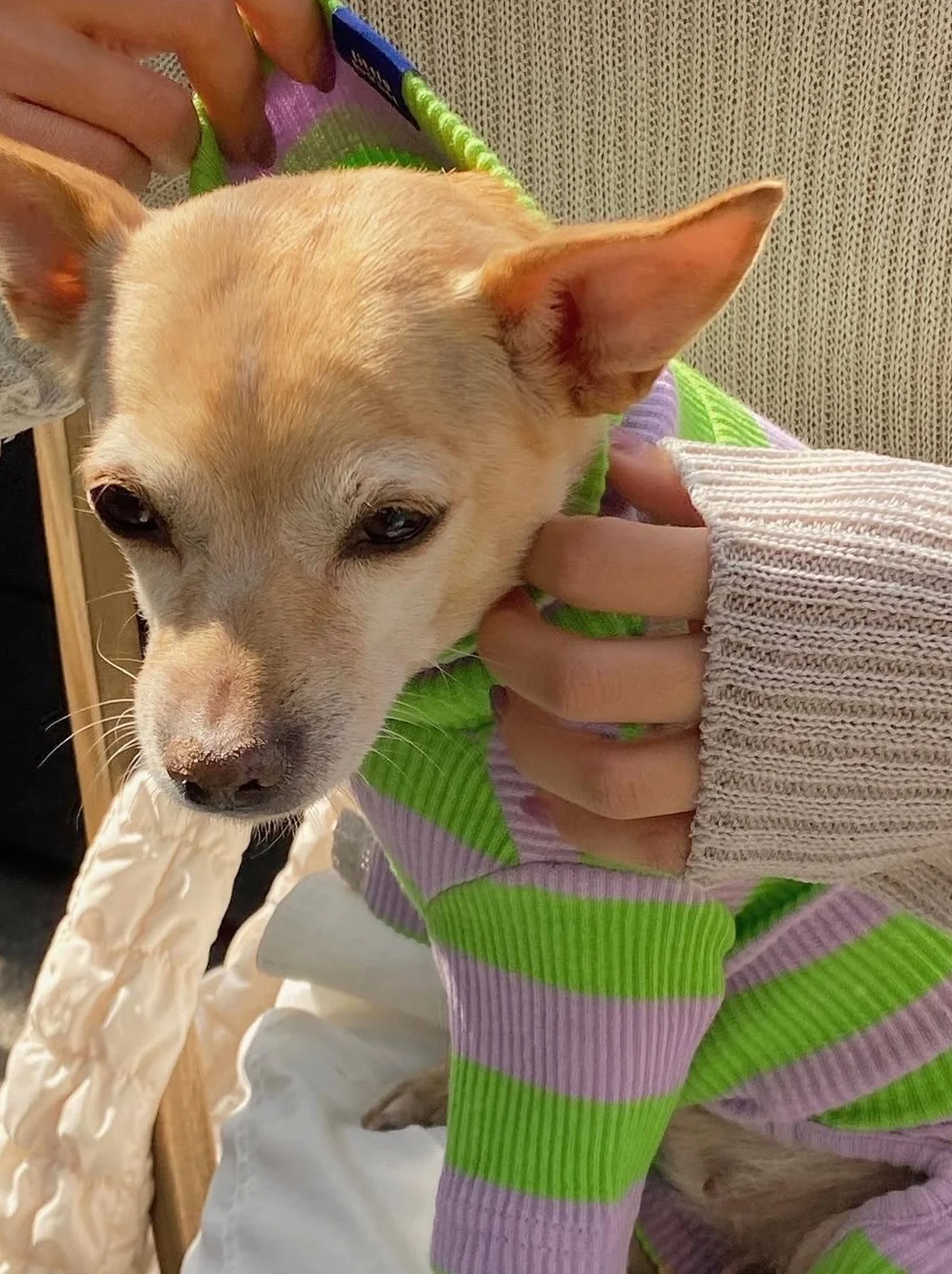 Thumbnail 7